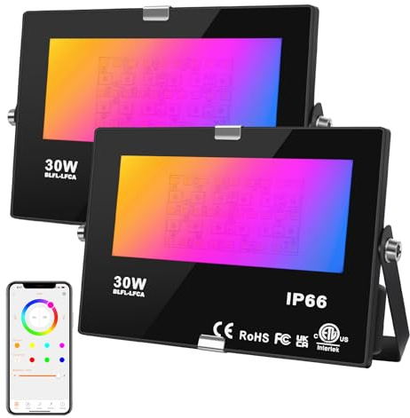 DUSKTEC Faretto LED Esterno RGBW 2 Pezzi, 220V Faro 30W Dimmerabile Smart Bluetooth con APP, 16 Milioni Cambio Colore, Luce Impermeabile Colorata con Spina per Giardino Cortile Feste