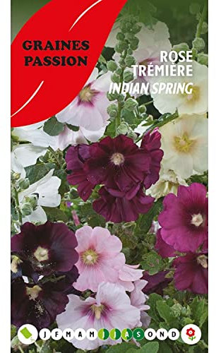 Graines Passion , sachet de graines Rose trémière Indian Spring