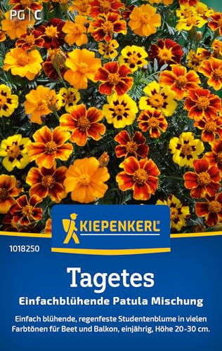 Kiepenkerl Tagetessamen Patula Mischung 1018250 - Einjährige Blumensamen mit einer Wuchshöhe von 20 bis 30 cm und Inhalt für 5 Pflanzen - Blumensamen, Saatgut