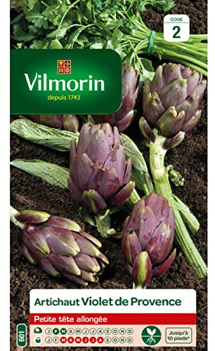VILMORIN - ARTICHAUT VIOLET DE PROVENCE