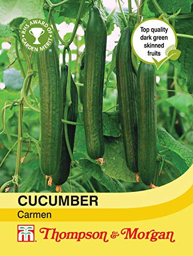 Thompson & Morgan - Vegetables - Cucumber Carmen - 4 Seed