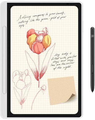 XPPen Magic Note Pad 11 Pulgadas, 3-in-1 Color Note Pad con Lápiz 16K Niveles de Presión, Tableta Gráfica con Pantalla Independiente de Sistema Android con XPPen Notes App
