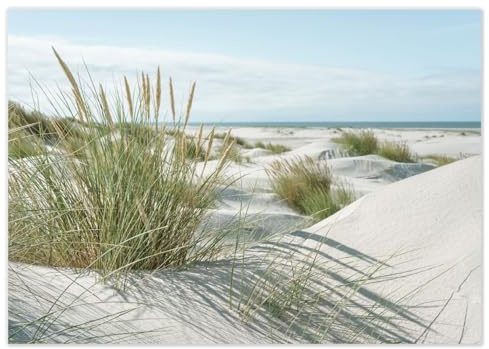 100 manteles Individuales con Motivo de Dunas I mar I DIN A3 Cuadrado I Mantel Individual de Papel I Set de Papel I desechable I Vacaciones I Comedor I Cocina I Restaurante I café I dv1085