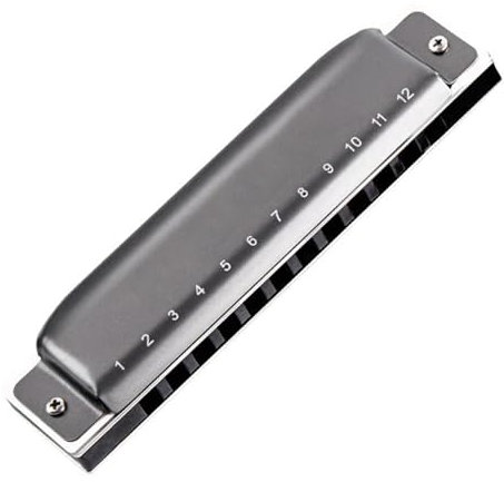 Spielen Sie professionell Mundharmonika 12-Loch-Blues-Profi-Mundharmonika-Instrument, ABS-Kamm mit Rohrblatt aus Phosphorbronze (Color : D)
