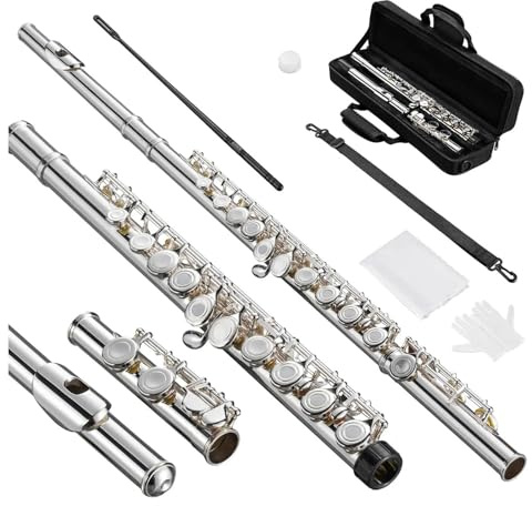 tvärflöjt instrument Öppet hål flöjt 16 tangenter flöjtinstrument för nybörjare