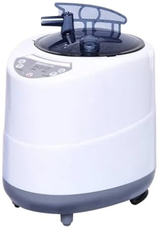 Generador De Vapor 2000W Capacidad 4L Olla De Vapor For Sauna Barriles De Madera Vapor De Agua Grande Calefacción Eficiente