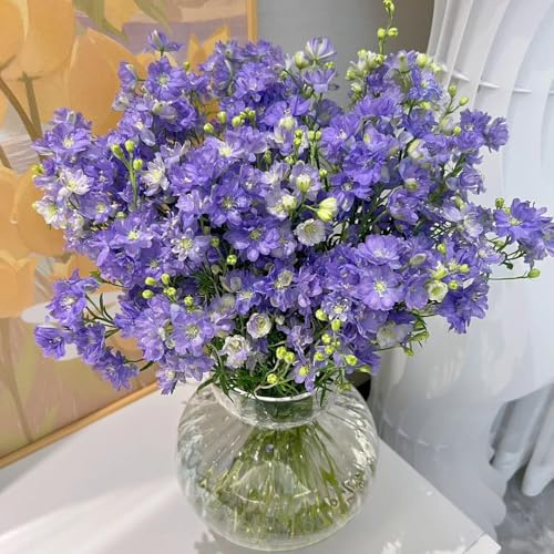 semi di delphinium - delphinium Decorazioni per giardini esterni, delfinio rampicanti, da giardino roccioso fiorito in vaso 400semi