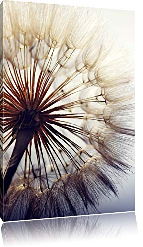 Pixxprint Schöne Pusteblume, Größe: 100x70cm, Leinwandbild, fertig gespannt, Wandbild, Dekoration, Kunstdruck, kein Poster