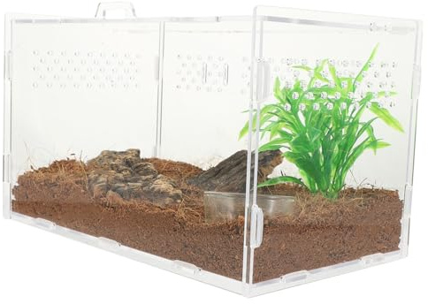 Toyvian Reptile Enclosure and Tarantula Tank Acrylic Terrarium with Ventilation 25x15x15cm Breeding Box for Lizards, Spiders, and Horned Frogs Suitable for Home and Pet Keepers