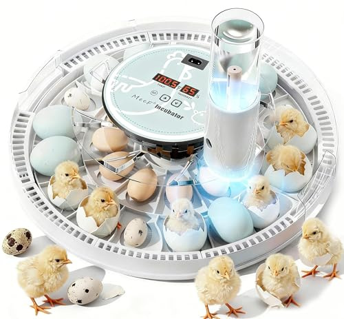 MeeF Egg Incubator for Hatching 28 Eggs, Auto Flip, Independent Atomizing Humidifier, with Duck and Goose Egg Trays (Green)