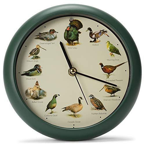 Mark Feldstein, Singing Wild Game Birds of North America Clock, 8 Inch, Green
