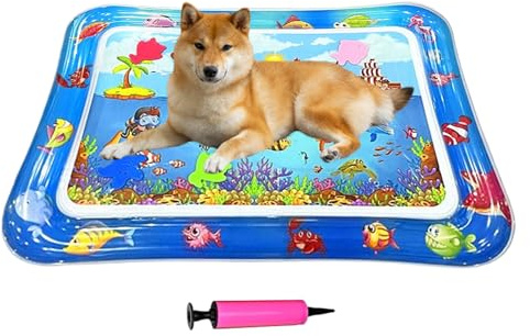 Lit d'eau pour Chat | Tapis de Jeu Gonflable à Eau 66 x 47 cm - Coussin Rafraîchissant Antidérapant Griffoir Interactif pour Voyage Chatons et Chiots