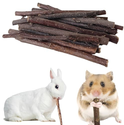 EJRUP 150g Bastoncini di Legno di Mela Naturale, Mela Bastoncini da Masticare,Ramo Di Mela Giocattoli per Conigli,per Digrignare i Denti per Cincillà Criceto Porcellino d'India