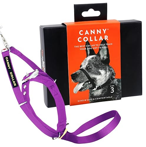 Canny Collar – Collare a Cavezza Addestramento Cane | Collare Anti‑Tiro Gentile e Sicuro | Camminate Piacevoli Senza Stress – Viola – Taglia 3