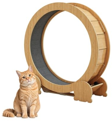 Versión Mejorada Rueda De Ejercicio para Gatos De Gran Diámetro, Rueda Interactiva para Gatos, Cinta De Correr para Gatos Silenciosa para Actividad Diaria(Small)