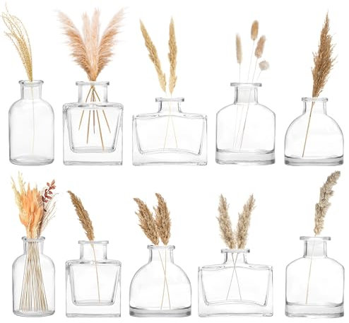 Winter Shore Kleine Glasvasen für Tischdeko [10er-Pack] - Verschiedene Durchsichtige Mini Vasen für Blumen - Kleine Vasen für Tischdeko Vintage - Quadratische, Rechteckige, Runde, Niedrige & Hohe Form