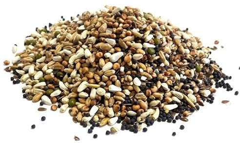 5kg Pigeon Condition Seed Mixed Bird Food