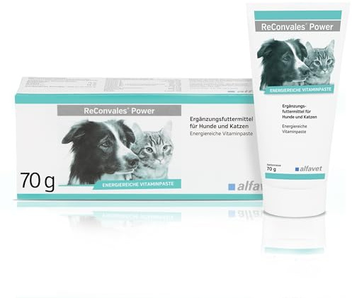 Alfavet ReConvales Power, Diät-Ergänzungsfuttermittel für Hunde und Katzen, Päppelpaste bei Untergewicht, Tube 70 g