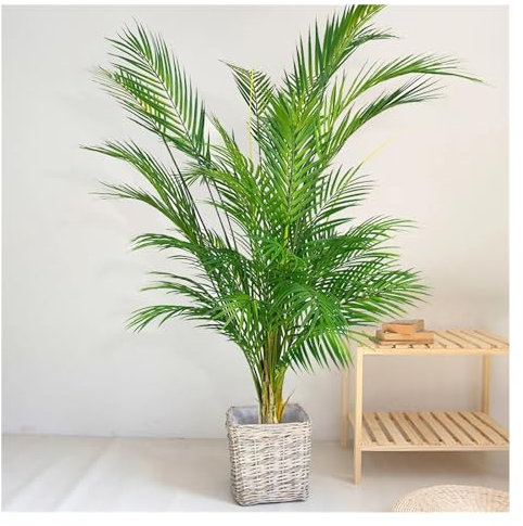 Aqxyxsw Grande Branche de Fausses Plantes de Palmier artificielles de 120cm, Feuilles de Palmier au Toucher réel, Branches de Plantes Tropicales for la décoration intérieure du Bureau et de la Maison