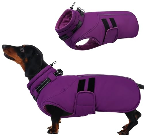 IECOii Hundjackor för medelstora hundar, vattentät vinterrock med sele, reflekterande justerbar krok och ögla varm hund snödräkt för kallt väder, fleece polokrage vinterrock, extra varma