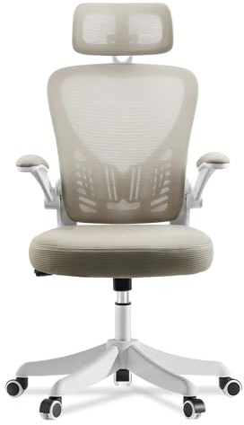 EOXCIIU Ergonomic Office Chair, Desk chair with 2D Headrest and 90° Flip-up Armrest, Executive Mesh Chair with Lumbar Support, 3-Stage Gas Lift, Height Adjustable for Home, Office, White
