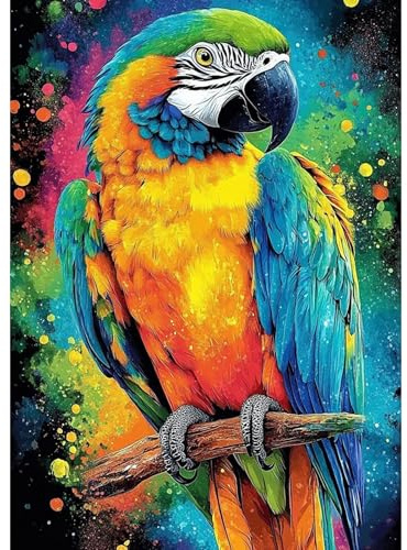 DAERLE DIY Kit pittura diamante Pappagallo colorato, 5D Diamond Painting Kit Completo per Adulti, Strass Arte e Artigianato Fai da Te, Decorazione per Casa e delle Pareti 30x40cm, Uccello