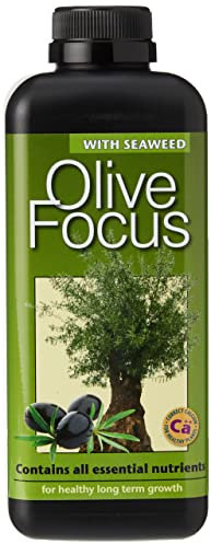 Growth Technology Ltd Engrais concentré Liquide Olive Focus 1 Litre