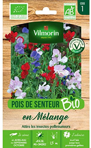 Sachet graines Pois de senteur en mélange BIO - Lathyrus odoratus