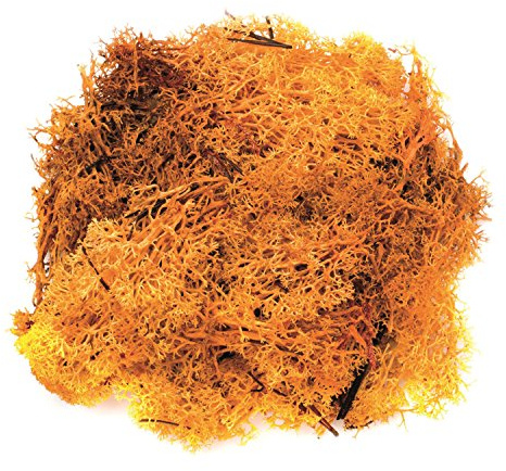 Glorex 6 3803 609 – Islandmossa, 50 g, orange, för pyssel, dekoration, för modell och krubbkonstruktion