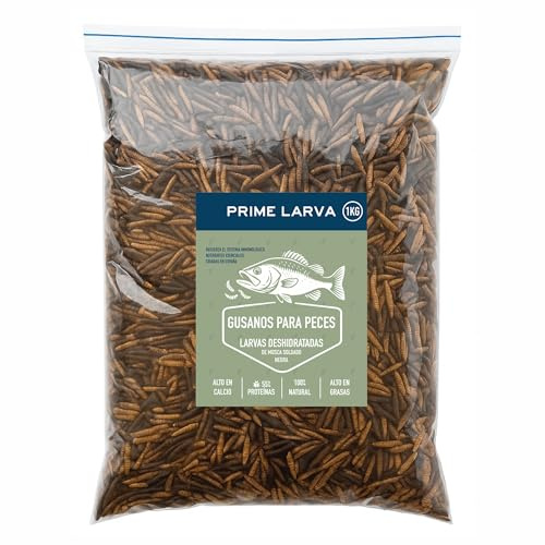 Larvas de Black Soldier Fly Deshidratadas para Peces – 1kg – Ricas en Proteínas y Calcio – Alimento Natural para Peces de Acuario, Estanque, Tropicales y Koi
