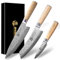 Jingseiho Damastmesser Set, VG-10 Klinge 67-Lagen Damast Schmiedestahl, SGS geprüft Scharfe Messerset Kochmesser, Santoku und Schälmesser, Langlebiges Küchenmesser Set für den Haushalt