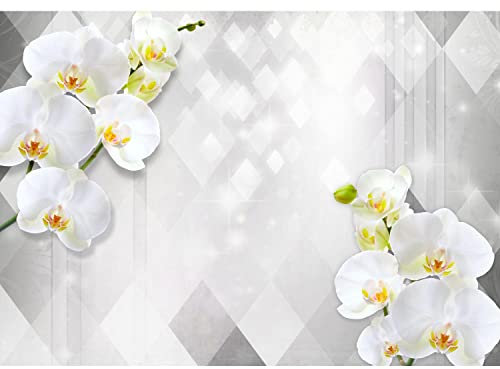 Runa Art Papel tapiz fotográfico 396 x 280 cm Resumen flores de las orquídeas | Lana Decoración De Pared Sala Cuarto | Fabricación alemana | gris 9342012c