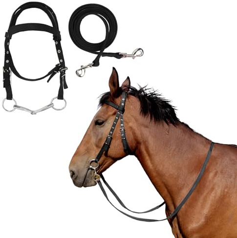 Horse Bridle with Rein Horse Headstall with Bits Rope Halters for Horses Halter Harness Bridle Reins