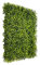 4 Stück künstliches Pflanzenwand Hecke 50x50 cm UV-Schutz Sichtschutz Mailänder Gras Design Heckenpflanze für Garten Outdoor Dekor