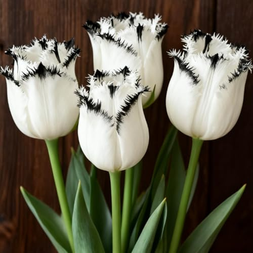 Tulipani perenni: semina autunnale, ideali in casa e all'aperto, perfetti per splendide composizioni da giardino.-g-6 Rizomi