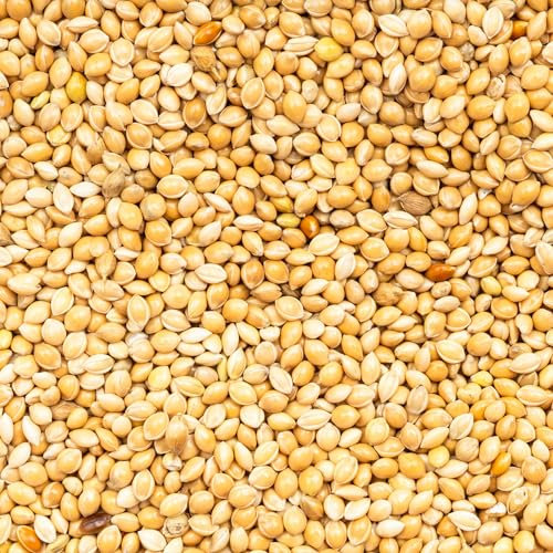 Hirse gelb weiß Vogelfutter Wellensittichfutter Großsittich Kanarienfutter Hirse für Hühner, Fische, Wildtiere, Viehbestand Hirse Gelb 5 kg