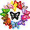 Soleebee Gemischt zufällig Patches Zubehör Aufbuegler Bügeleisen-auf oder Nähen-auf Aufnäher Applikation Applique Flicken Patches (11 Stück Schmetterling)