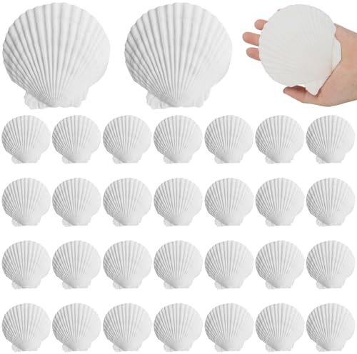 Jorzer Coquillages de mer pour l'artisanat, coquilles de pétoncles Blanches 30 pièces 2, 8 à 3, 2 Pouces Grands Coquillages pour l'artisanat, la pâtisserie, la Cuisine, la Plage, Le Mariage, la maiso