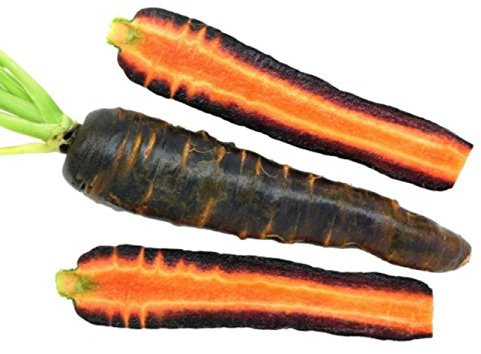 Cosmic Semi viola carota ~ 400 ct Orto ricchi di antiossidanti! Stati Uniti d'America
