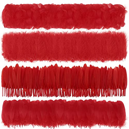 MWOOT 400 Stück Rot Federn zum Basteln, 7-15CM Natur Bastelfedern Deko für Traumfänger Basteln, 4 Arten Federn für Hochzeit Halloween Masken Faschingskostüme Zubehör Basteln, DIY Crafts Feather