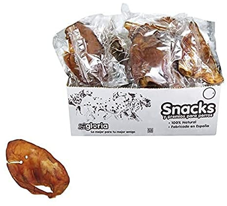 Gloria Orecchio Individuale Piccola del Maiale - 300 g