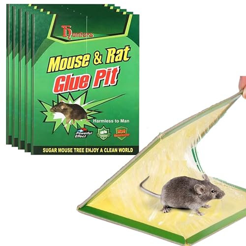 YARANY Piège à souris,Piège à Rat,Plaque collante souris,Piège souris collant, Lot de 5 Plaques - Vert