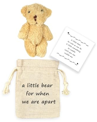 LUOKIFUR Pocket Bear Plush Doll Small Pocket Hug Love Token Invia Bear Hug Anniversario Fidanzato Regali alle persone bisognose (we are apart)