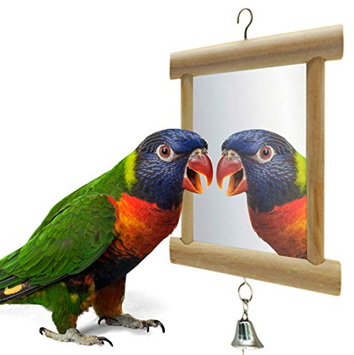 Beylos Boylos bird Mirror, Wooden Double Mirror with Bell for Parrots, Cockatiel, Budgerigar and Other Birds, 3.9 x 3.9inch/10 x 10cm