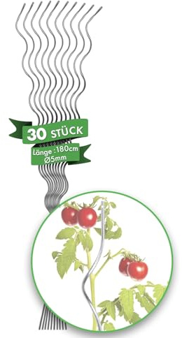 FLOORDIREKT Tomatenspiralstäbe - 180 cm Länge - 30 Stück - Tomatenstab - Spiralstab - Rankstab - Tomaten Rankhilfe - Pflanzstab aus verzinktem Stahl