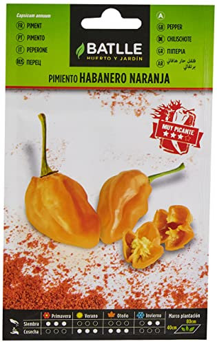Semences Battle Piment Habanero Orange