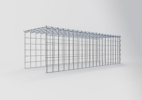 GABIONA Cesta de piedra de gavión rectangular, malla de 5 x 5 cm, profundidad de 30 cm, cesta de cultivo tipo 4, cierre de espiral, galvanizado (100 x 30 x 30 cm)
