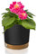 EDANTI Blumentopf mit Untersatzer Dekorativer Topf Kunststoff Pflanzkübel Rund Blumenkübel Gartentopf (Anthrazit, 23,9 cm)