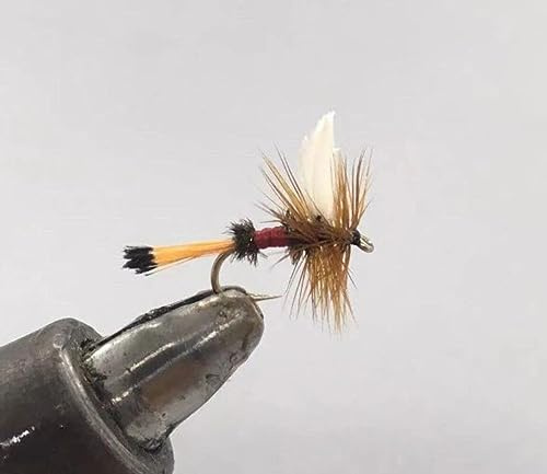 Royal Coachman, 12 Pack Dry Fly Lures, Strike Fly Company