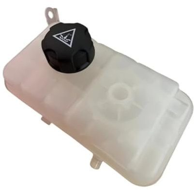 PUNICS Depósito refrigerante Compatible con Citroen para C5 C6, Depósito Expansión Refrigerante del Radiador, Depósito De Refrigeración, Depósito Anticongelante 1323V1, 1306E4, 132384, 1323S7, 1323GQ